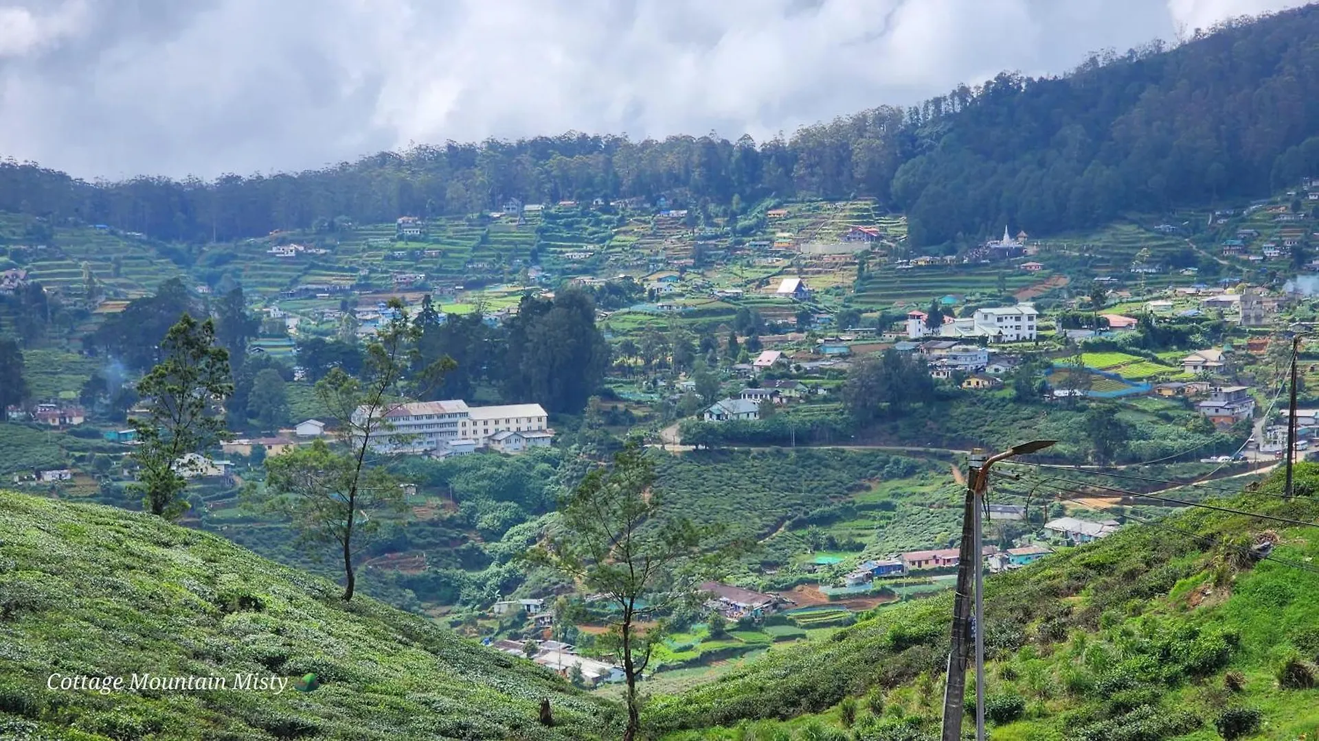 Cottage Mountain Misty - Nuwaraeliya Nuwara Eliya